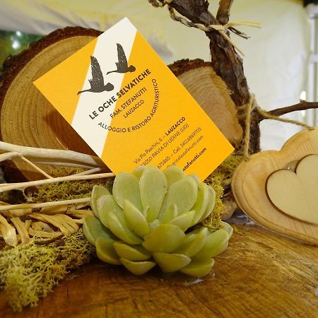 Agriturismo Le Oche Selvatiche Lauzacco エクステリア 写真