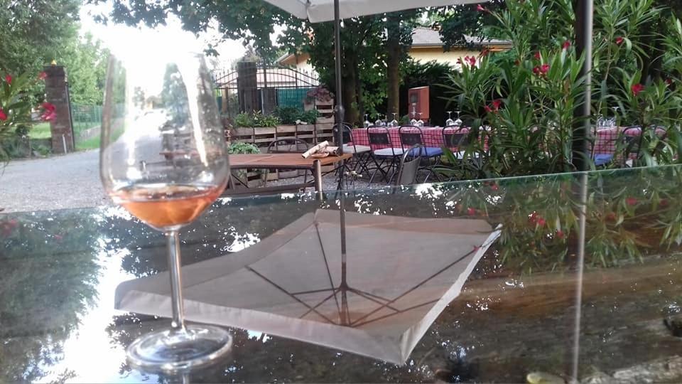 Agriturismo Le Oche Selvatiche Lauzacco エクステリア 写真