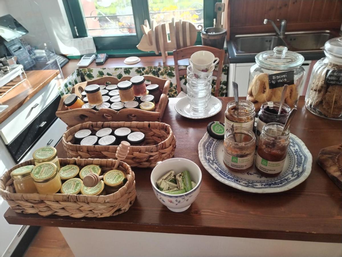Agriturismo Le Oche Selvatiche Lauzacco エクステリア 写真