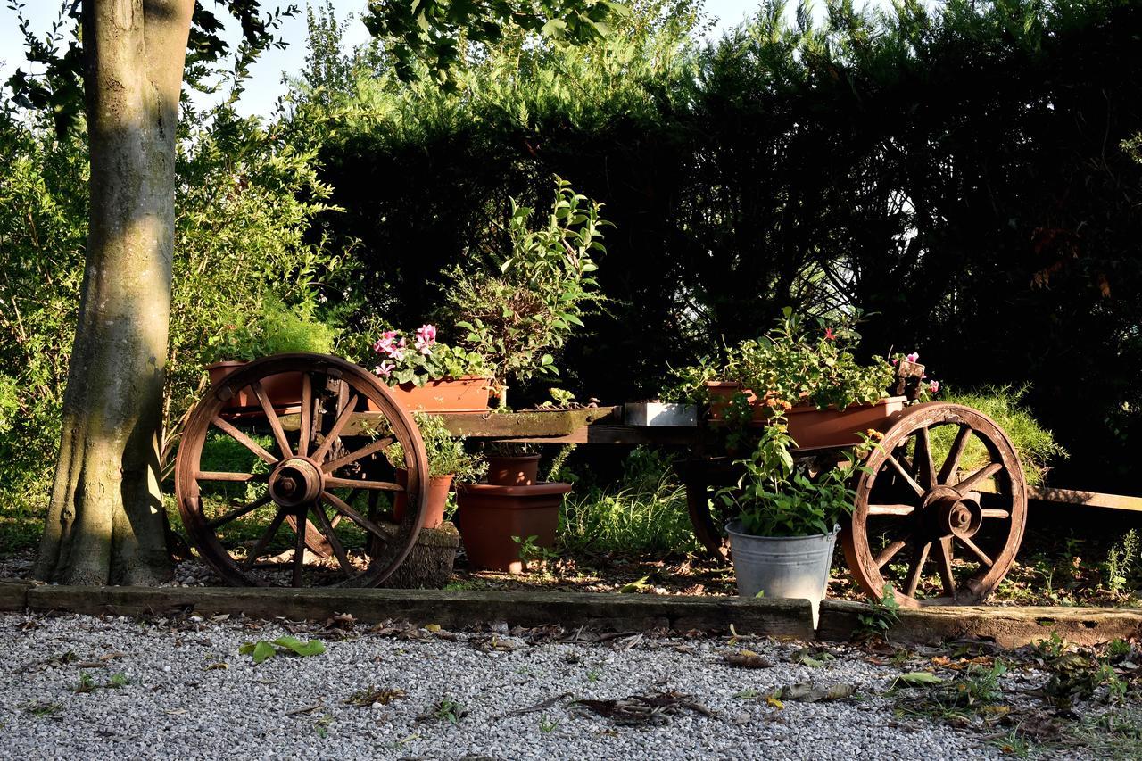 Agriturismo Le Oche Selvatiche Lauzacco エクステリア 写真