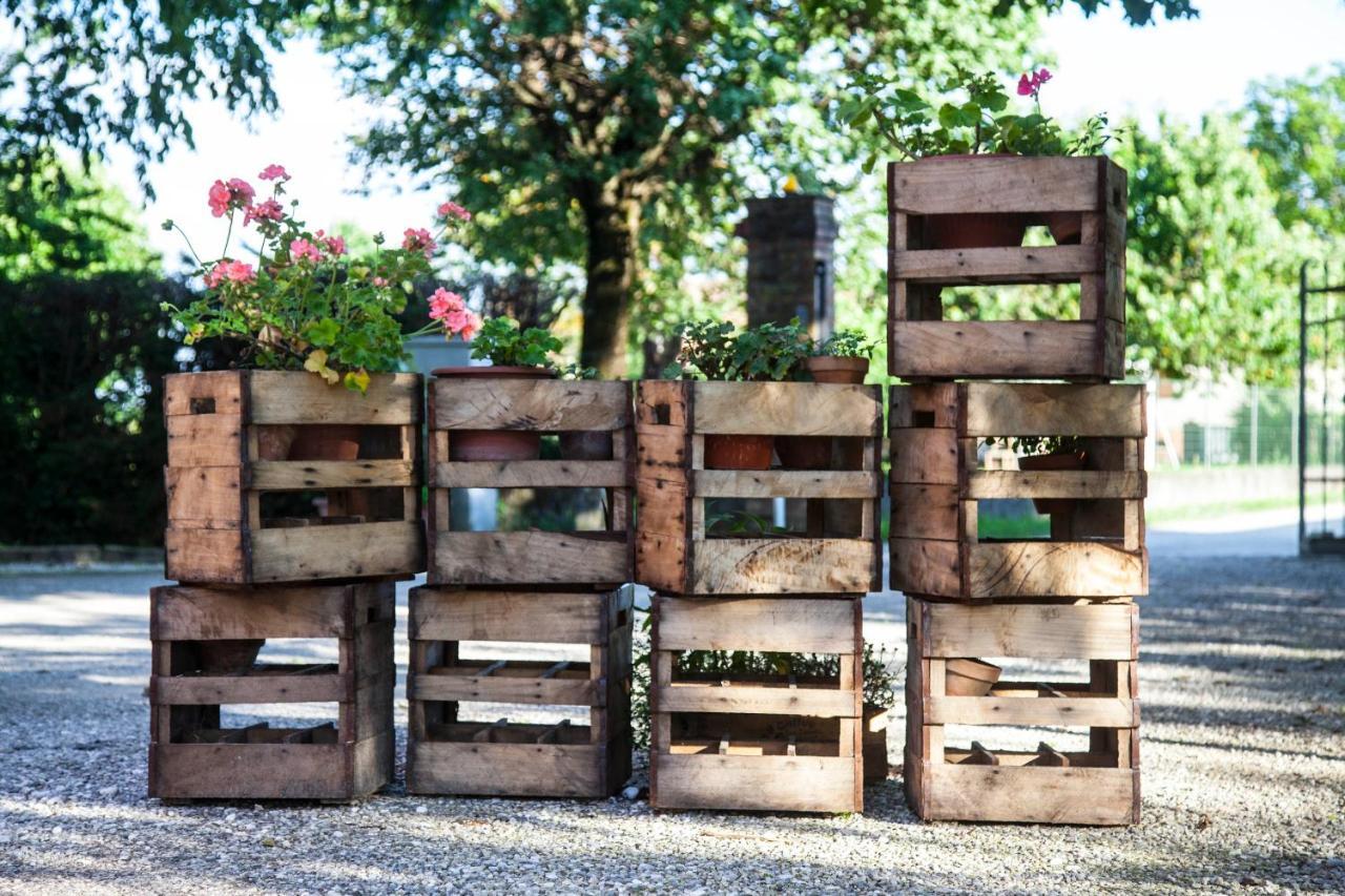 Agriturismo Le Oche Selvatiche Lauzacco エクステリア 写真